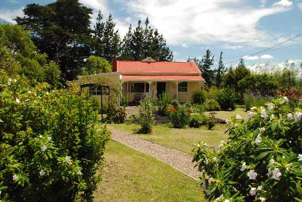 A friend's house I visited near Waiotira.